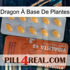 Dragon À Base De Plantes 43